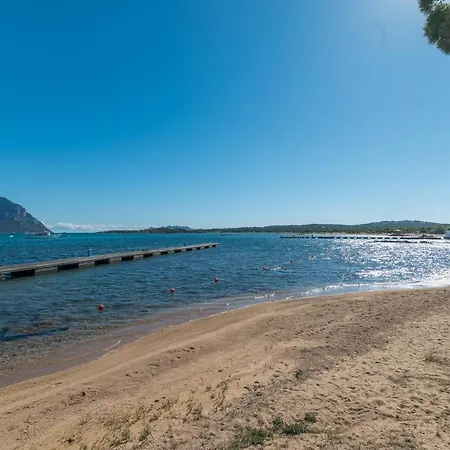 Piazzetta Bilo Porto 50m From The - Happy Apartment Porto San Paolo (Sardinia)
